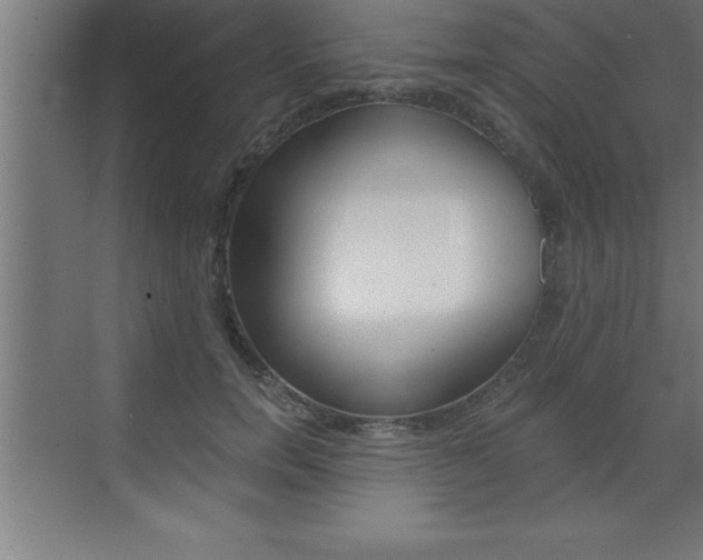 X0000072920750200607210906