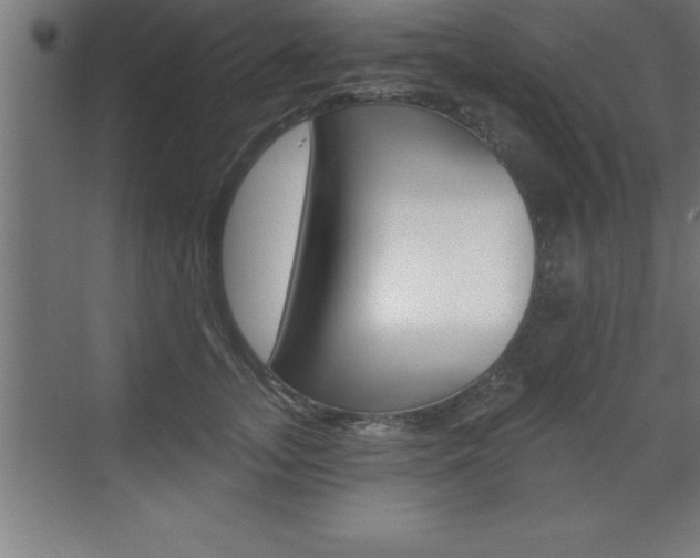 X0000072920755200607210906