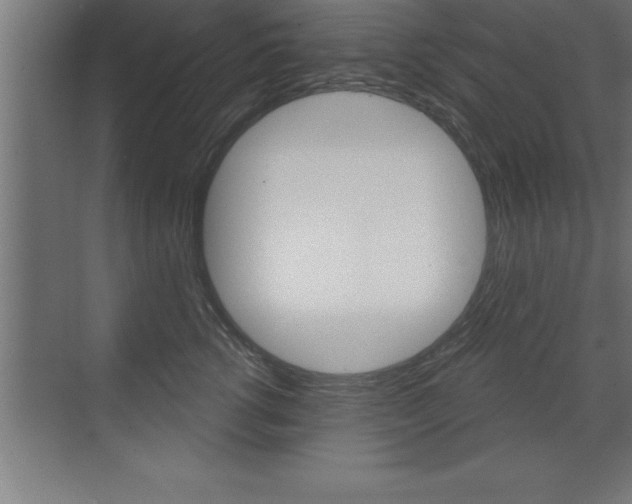 X0000072920762200607210906