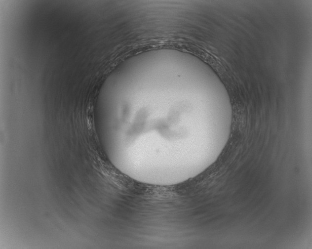 X0000072920770200607210905