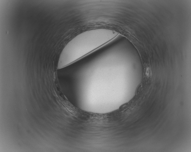 X0000072920771200607210905