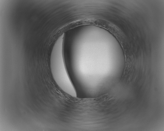 X0000072920773200607210905