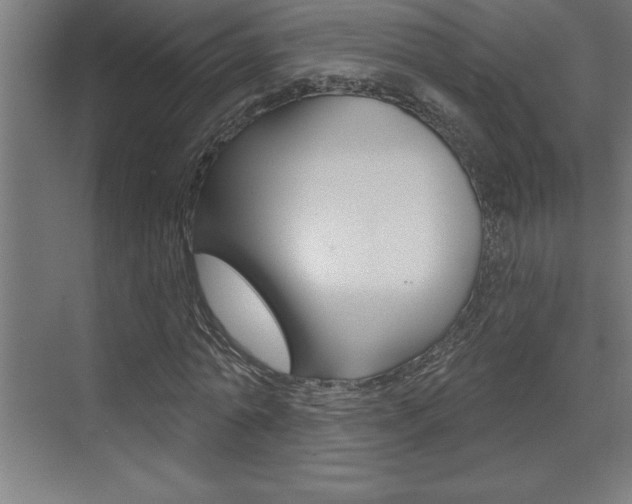 X0000072920774200607210905