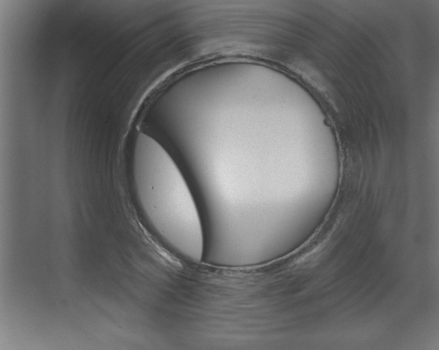 X0000072920782200607210905
