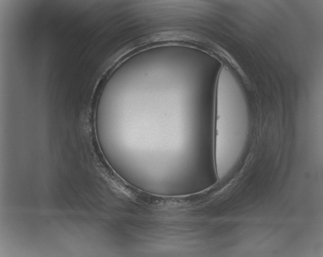 X0000072920786200607210905