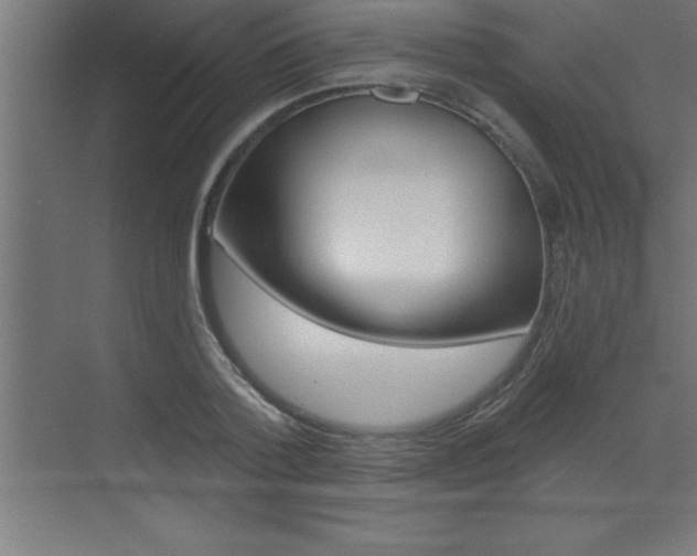 X0000072920788200607210905