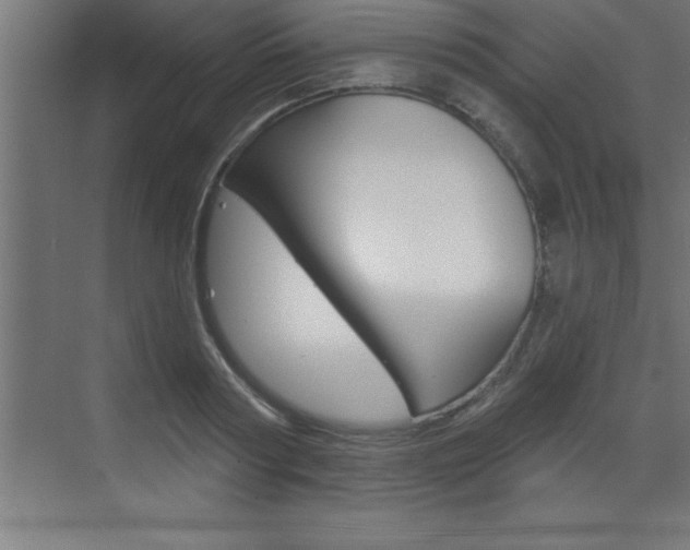 X0000072920794200607210905