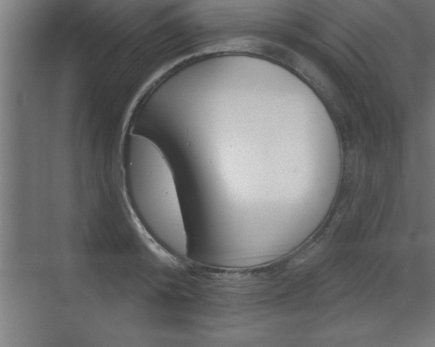 X0000072920800200607210905
