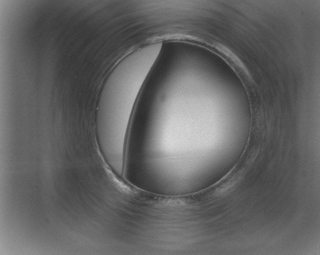 X0000072920801200607210905