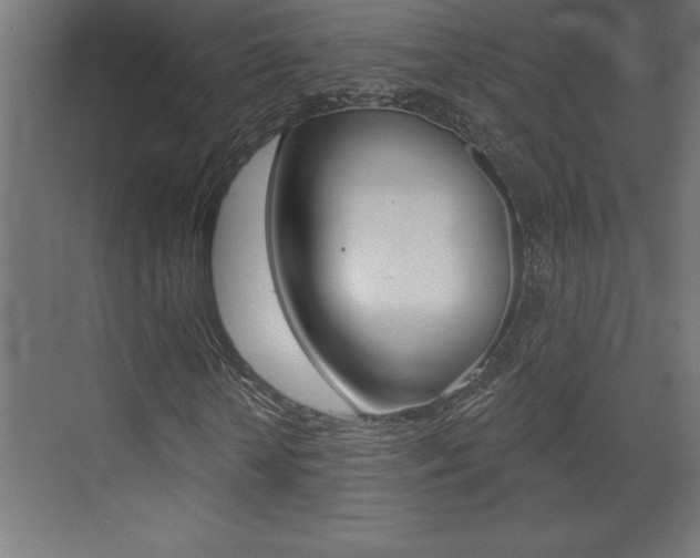 X0000072920818200607210904