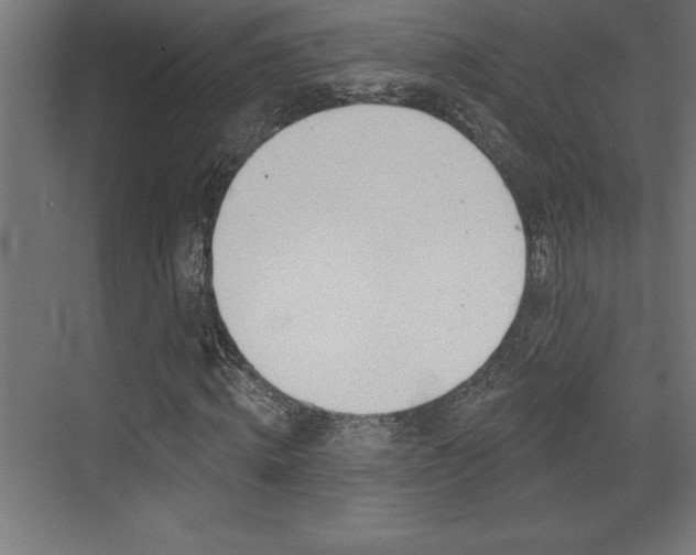 X0000072920820200607210904