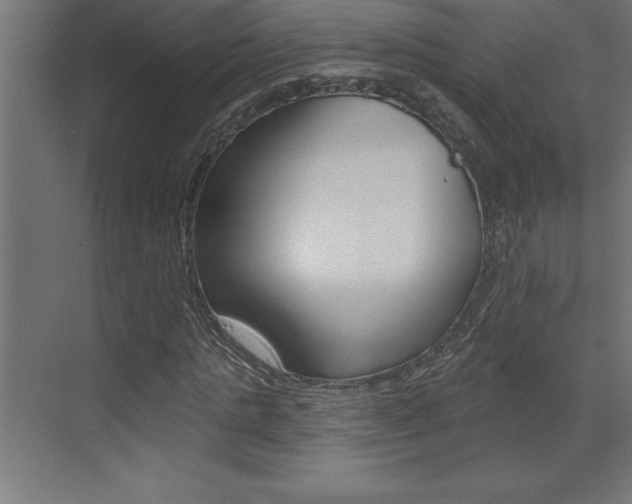 X0000072920821200607210904
