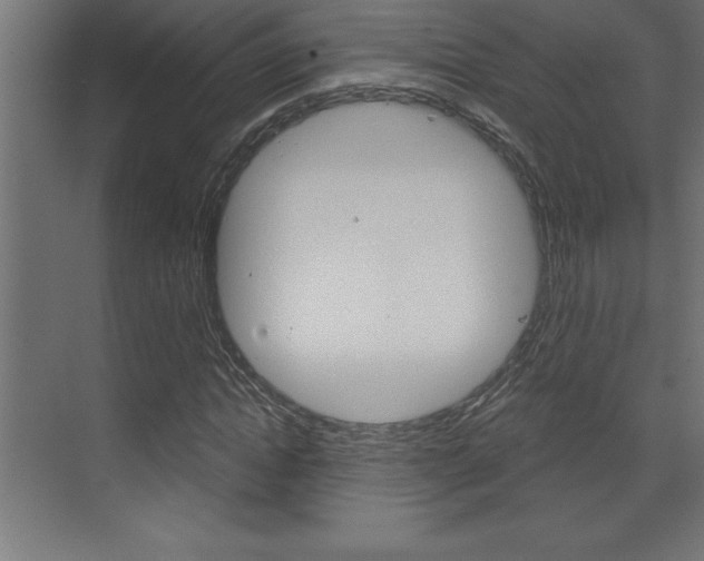 X0000072920822200607210904