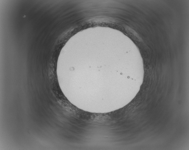 X0000072920824200607210904