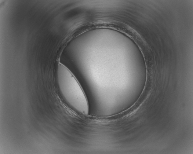 X0000072920825200607210904