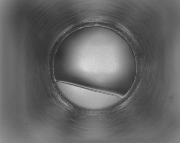 X0000072920826200607210904