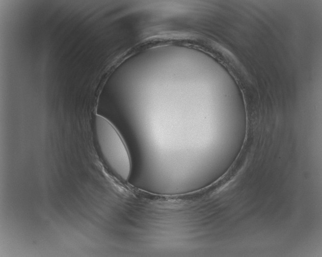 X0000072920833200607210904