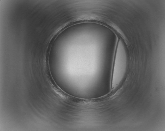 X0000072920834200607210904