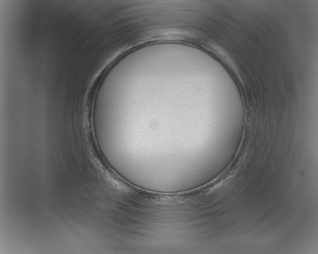 X0000072920835200607210904