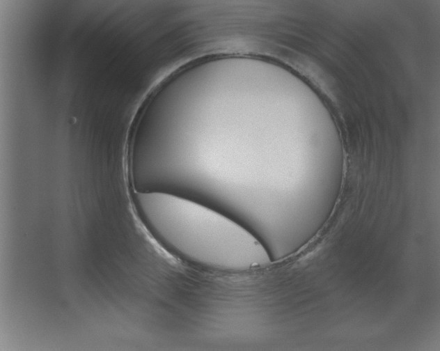 X0000072920839200607210904