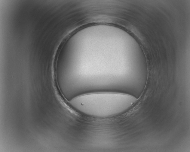 X0000072920840200607210904
