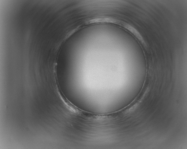 X0000072920849200607210904