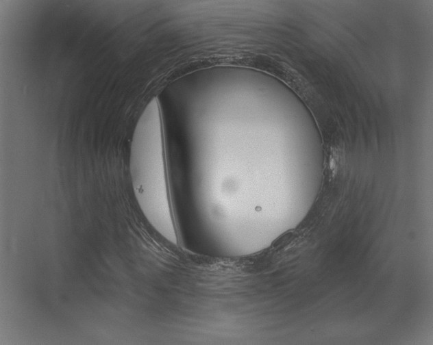 X0000072920867200607210904