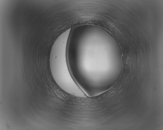 X0000072920868200607210904