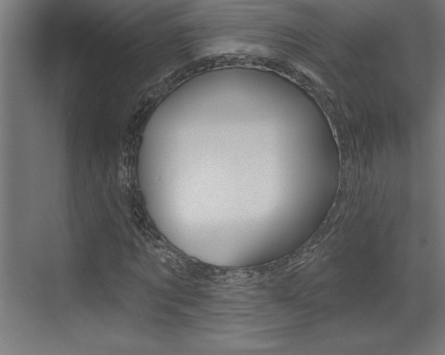 X0000072920869200607210903