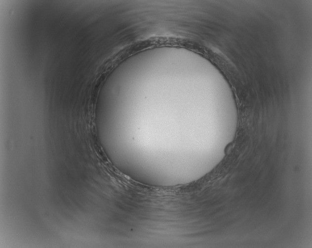 X0000072920870200607210903