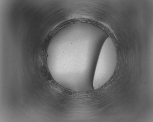 X0000072920871200607210903