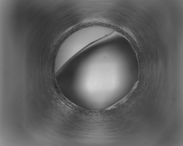 X0000072920872200607210903