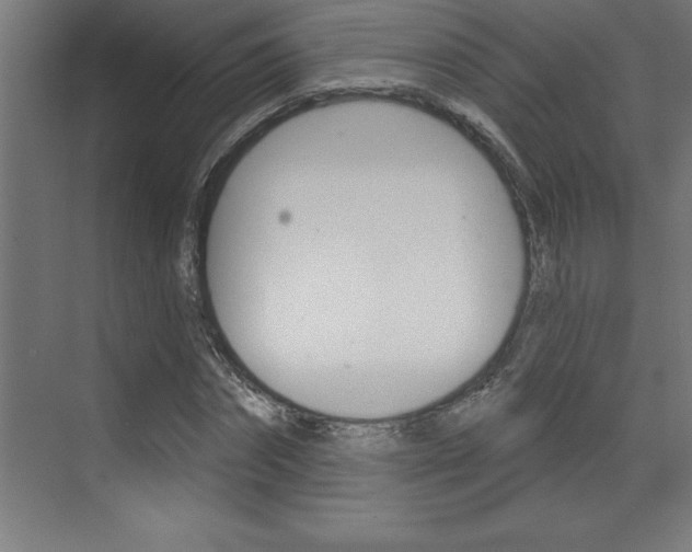 X0000072920874200607210903