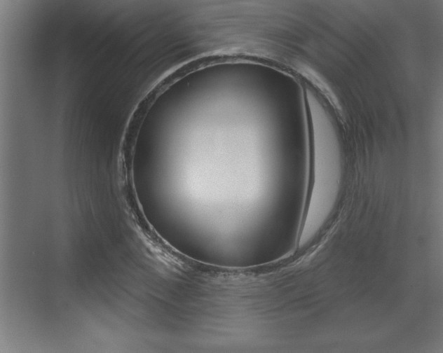 X0000072920876200607210903