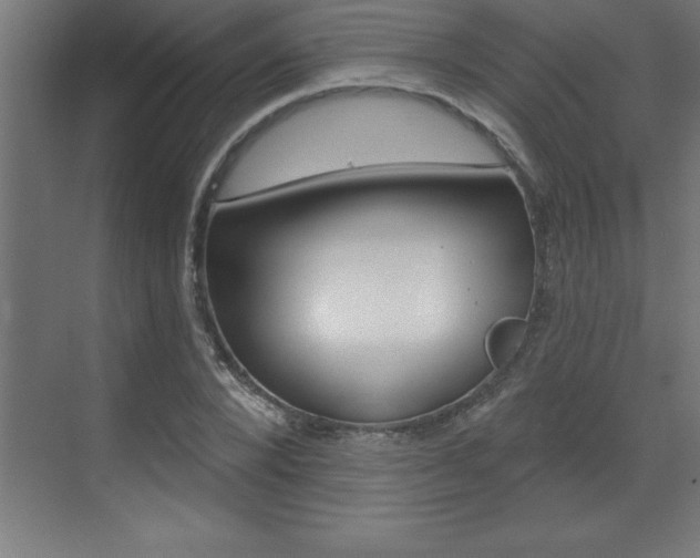 X0000072920880200607210903