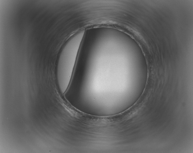 X0000072920881200607210903