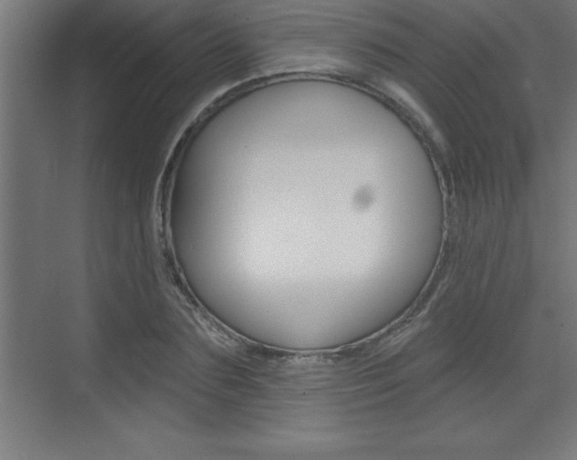 X0000072920883200607210903