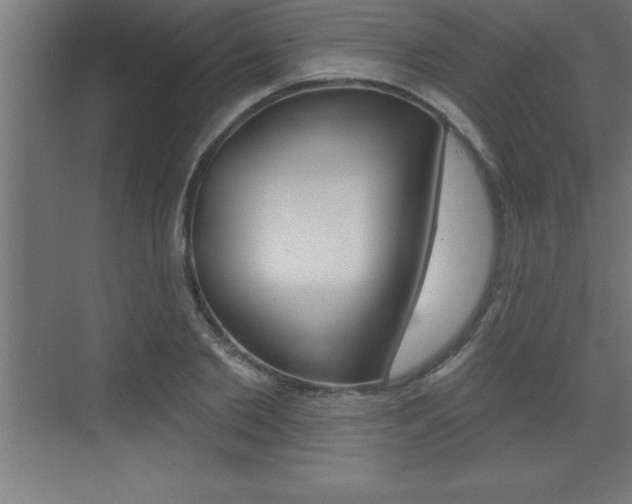 X0000072920885200607210903