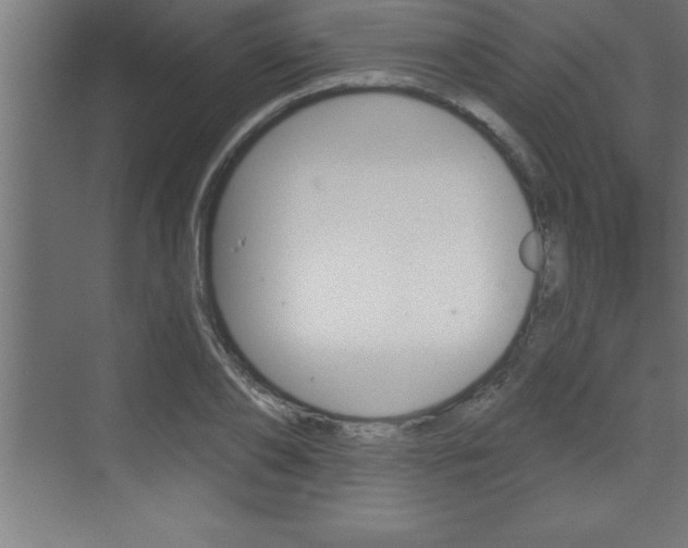 X0000072920886200607210903