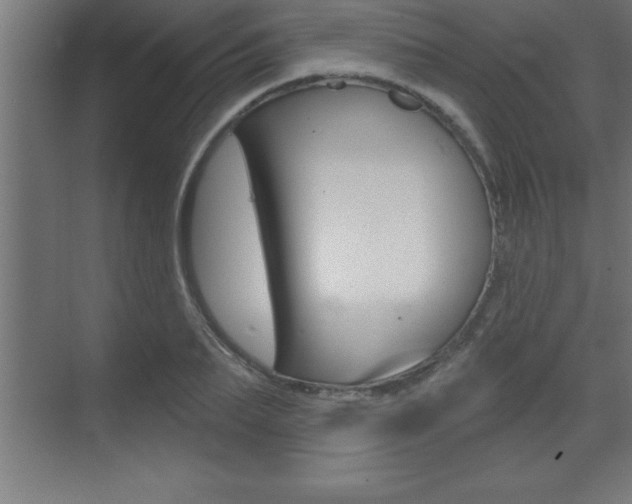 X0000072920887200607210903