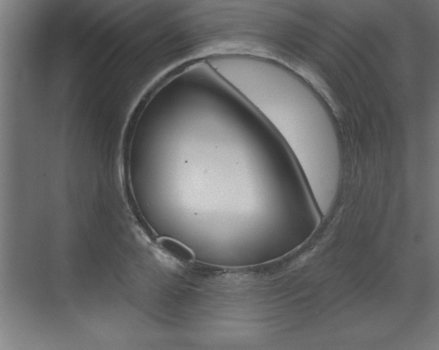 X0000072920888200607210903