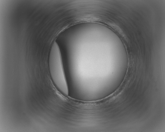 X0000072920889200607210903