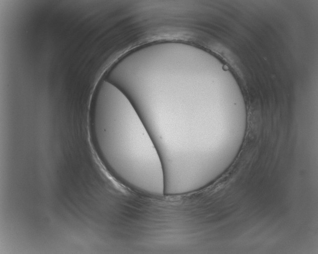 X0000072920890200607210903