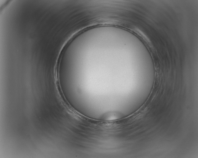 X0000072920891200607210903