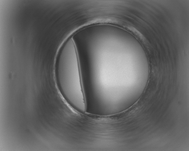 X0000072920894200607210903