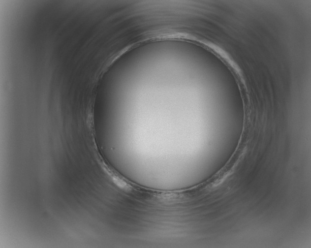 X0000072920897200607210903