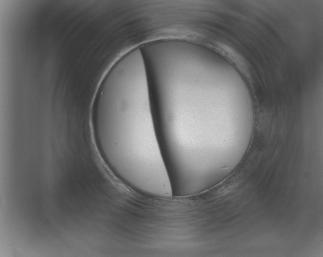 X0000072920899200607210903