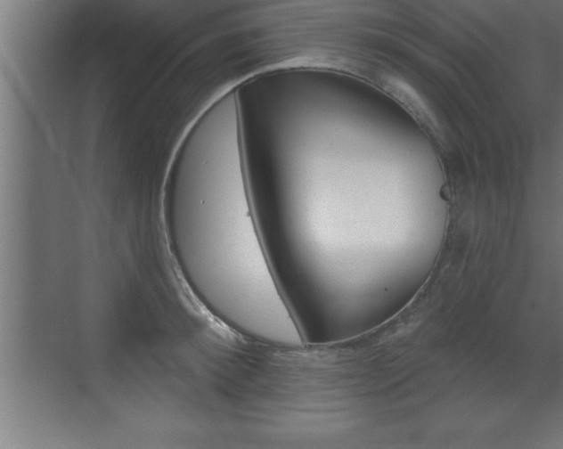 X0000072920900200607210903