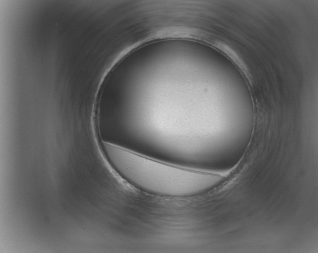 X0000072920901200607210903