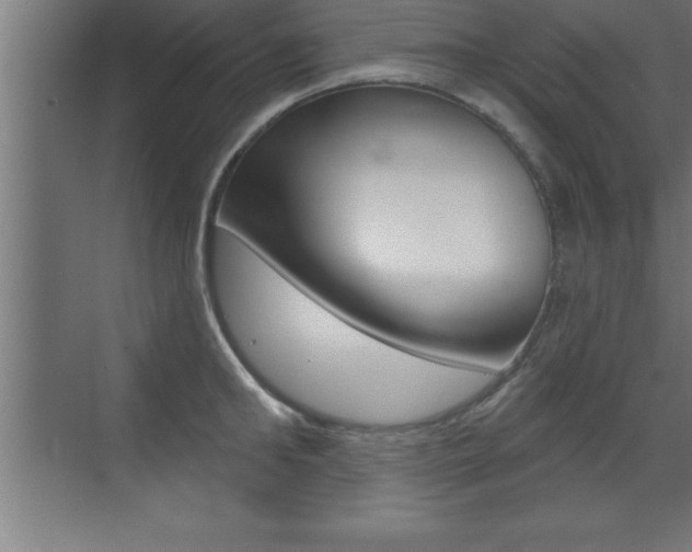 X0000072920902200607210903